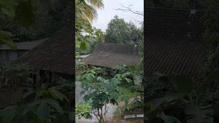 suasana kampung alami jaman dulu#shorts