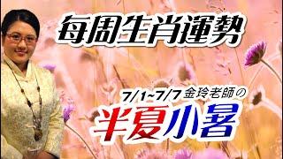 半夏小暑。2024生肖運勢週報｜71-77｜金玲老師（有字幕）