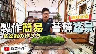 趣味盆栽  在家也可以製做苔癬盆景！打造日式苔玉！苔盆栽の作り方【松菓先生】DIY make Catharanthus Roseus Plant