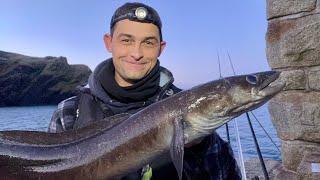 Shore Fishing for Beginners - Pier fishing for BIG fish.