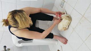 Tutorial lady butcher chicken for cookingEducational video