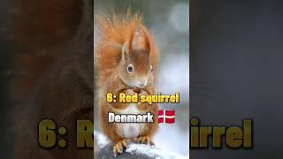 top 10 national  animals in different countries part 3 #shorts #youtubeshorts #shortvideo #ytshorts