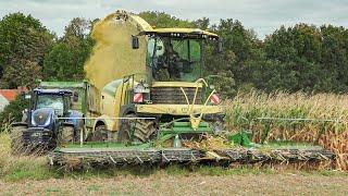 Krone BIG X 1180 mit JCB Fasttrac Fendt 828 Mercedes Arocs bei der Maisernte  LU Teichmann