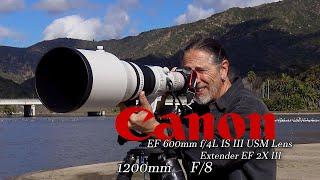 Malibu Lagoon at 1200mm F8 - is it overkill? Canon EOS R5 EF 600mm f4L IS III Lens and  EF 2X III