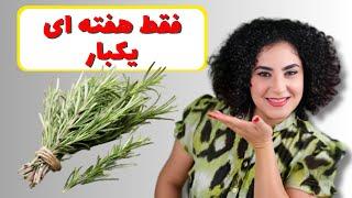 رزماری برای مو جایگزین داروهای ضد ریزش و رشد مجدد موموهاتون به طرز عجیبی رشد میکنه