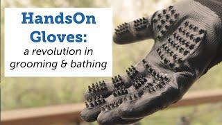 HandsOn Gloves - a revolution in grooming and bathing