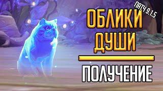 ОБЛИКИ ДУШИ для ковенанта Ночных фей в Shadowlands патч 9.1.5