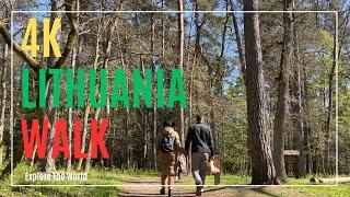 【4K】 Lithuania Forest Walk - Karmazinai Hiking Trail in Karmazinai near Vilnius Full version