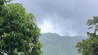 Hurricane Beryl in Portland Jamaica - Already loss Electricity