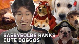 Overwatch pro Saebyeolbe ranks cute dogs