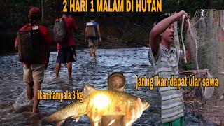 24 JAM DI HUTAN MENYELAM DI MALAM HARI  DAPAT IKAN HAMPALA MONSTER BERSAMA @Enggang_Borneo