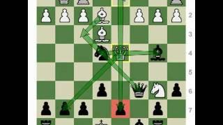 Chess Openings How to Play the Kan & Taimanov Sicilians