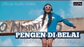 Ocha Shaptriasa  PENGEN DIBELAI  Official Audio Video