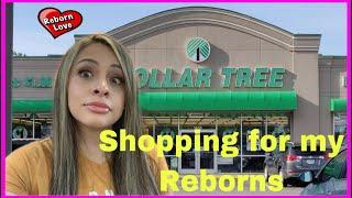 Shopping for my Reborn Babies at the Dollar Tree Reborn Dollar tree haul