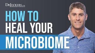 Gut Dysbiosis  What Is It and How to Heal Your Microbiome?