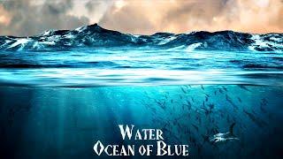 Atom Music Audio - Blue  Documentary  Orchestral  Nature  Discovery