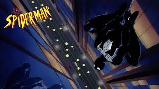 Black Suit Spider-Man  Spider-Man The Animated Series HD