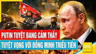 Putin Tuyệt Vọng Với Đồng Minh Triều Tiên Quân Nga Đang Tiến Tới Thất Bại Không Thể Tránh