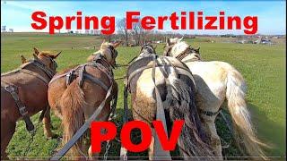 Spring Time Fertilizing With HORSES in AMISH LAND Point of View Lancaster County Pennsylvania