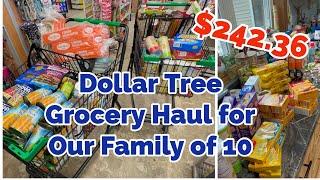 MY FiRST DOLLAR TREE GROCERY HAUL for Our Family of 10