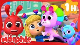 Magic Pet Talent Show BRAND NEW  Cartoons for Kids  Mila and Morphle