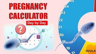 Pregnancy Calculator –  Calendar Week by Week  Pregnancy Calculator by Last Period