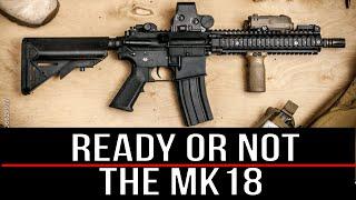 The MK18 in Ready or Not