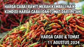 Harga cabai merah hari ini 11 Agustus 2024  Info harga tomat dan cabai saat ini di Jawa Timur