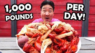 Massive CRAWFISH BOIL Why SEAFOOD in NEW ORLEANS is a Must-Try