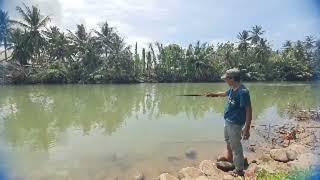 Mancing Belanak pakai adonan tepung dapat banyak