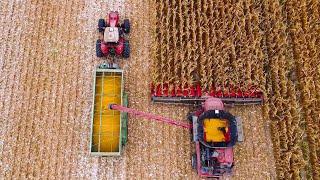 High-tech Plant For Growing And Harvesting High-quality Wheat