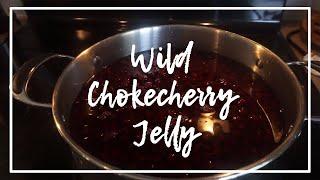 Wild Chokecherry Jelly