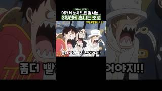 전투 센스는 뛰어나지만 눈치가 너무 없는 검사...ㅠㅠ #원피스 #onepiece