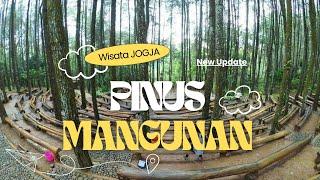 PINUS MANGUNAN JOGJA  Melangkah di Antara ALAM HUTAN PINUS