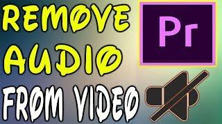 Adobe Premiere Pro CC  How To  Remove Audio From Video In Adobe Premiere Pro 2017