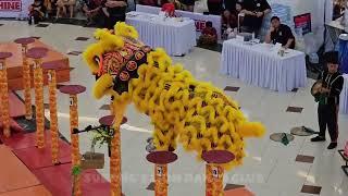 Subang’s Lion Dance Club Penampang @ Datuk Ceasar Mandela Malakun Cup 2024 ITCC Penampang.