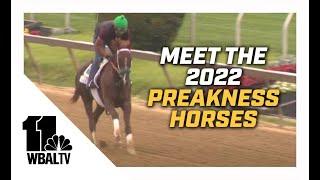 Meet the 2022 Preakness horses