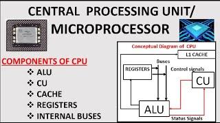 CPU and Its Components Components of MIcroprocessor