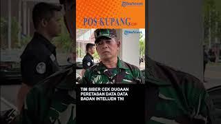 Tim Siber Cek Dugaan Peretasan Data Bais TNI