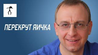 ПЕРЕКРУТ ЯИЧКА. Уролог андролог сексопатолог Алексей Корниенко