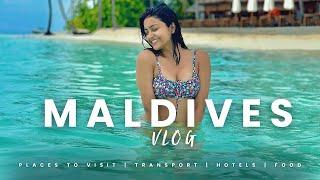 VLOG 5- Exploring the Maldives Swimming with sharks  Avantika ️ ️