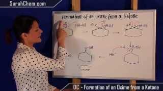 Formation of an Oxime from a Ketone