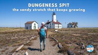 Hiking Dungeness Spit The Longest Sand Spit In America  Washington