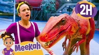 Meekah DANCES With A Dinosaur + More  Blippi and Meekah Best Friend Adventures