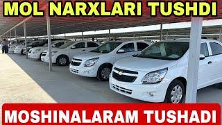 TERMIZ MOSHIN BOZORI KOBALT JENTRA NEXIA DAMAZ LABO SPARK MATIZ TIKO NARXLARI 13.10.2024