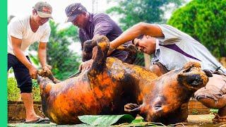 Cooking a WHOLE COW in 4 HOURS Vietnam Village Life  Surviving Vietnam Part 5