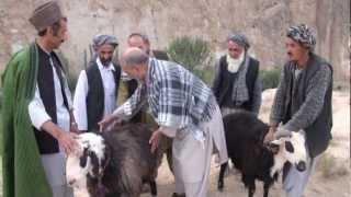 Rug Making in Northern Afghanistan