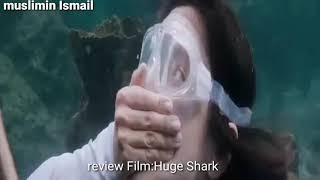 Dokter Cantik dan Cowo Mesum Terjebak Di Pulau KecilReview filmHuge Shark