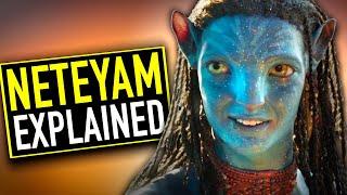 Neteyam The Golden Child Explained  Avatar The Way of Water Explained