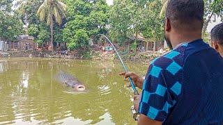 ৫০০ টাকায় কাতলা মাছ খেলানো ও টান দেখে অবাক